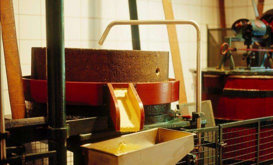 Herstellung von Senf in einer Senfmühle
