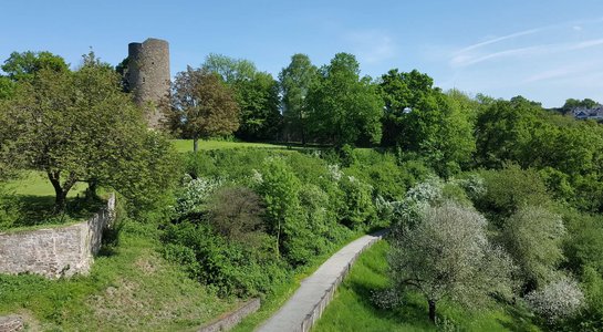 Blick von Burg Blankenberg auf die Vorburg